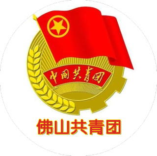佛山共青团