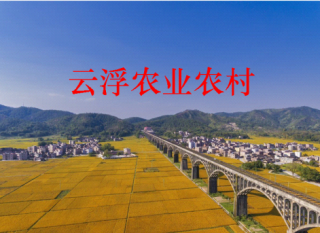 云浮农业农村
