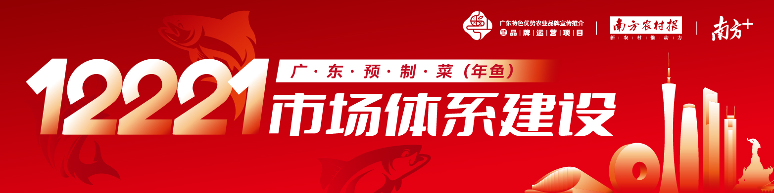 粤鲜粤好 年年有鱼