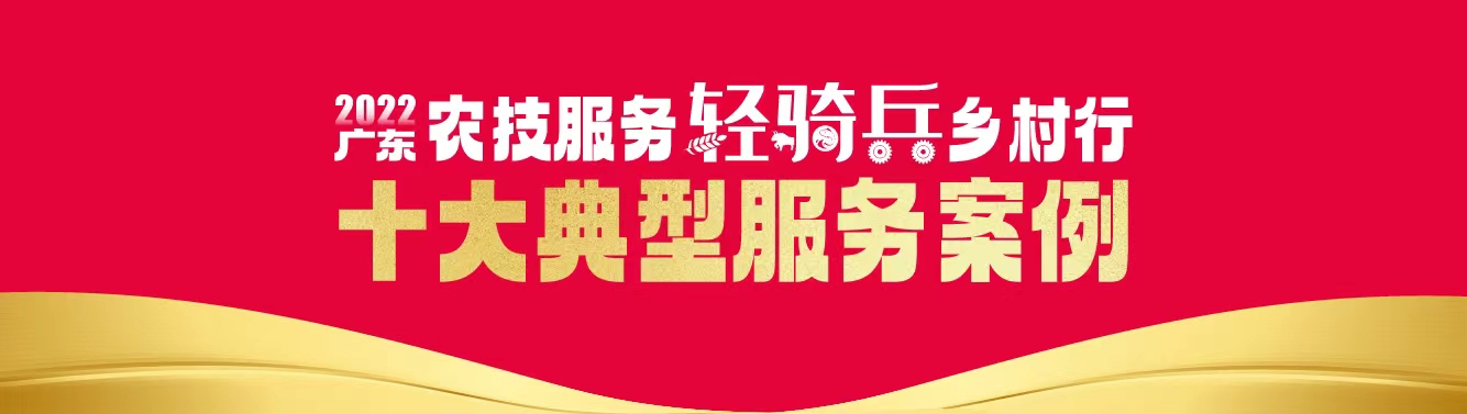 2022轻骑兵十大典型服务案例。