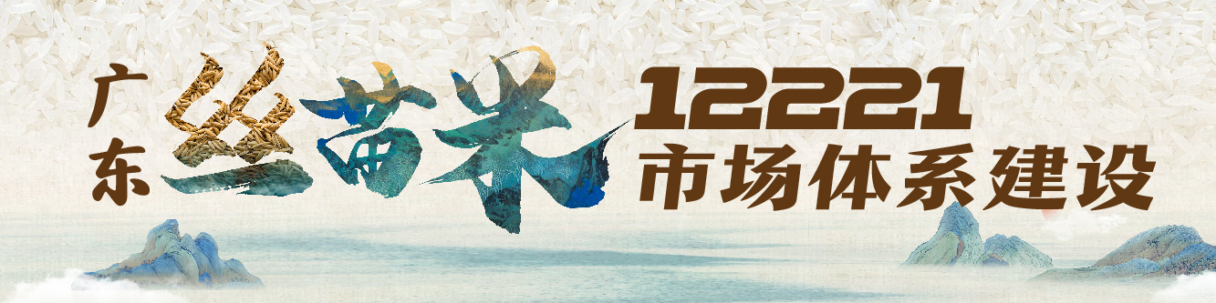 经过层层加工工序后，又一季广东丝苗新米陆续销往省内外各大城市，登上消费者的餐桌。