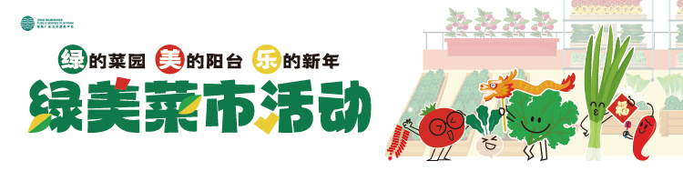 一方绿美菜园 让生活发光添彩