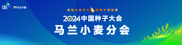 做强小麦种子，端稳中国饭碗。5月19日，2024中国种子大会马兰小麦分会在辛集举行。