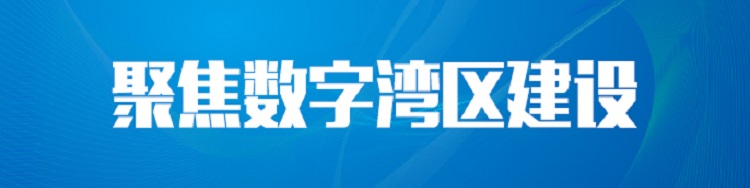 努力打造全球数字化水平最高的湾区>>