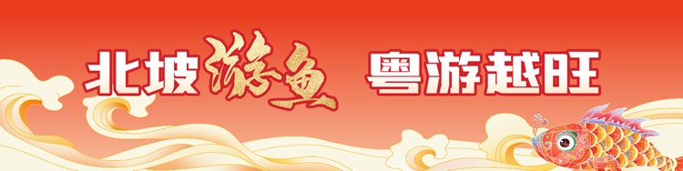 北坡游鱼 粤游越旺