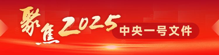 中共中央、国务院关于进一步深化农村改革、扎实推进乡村全面振兴的意见