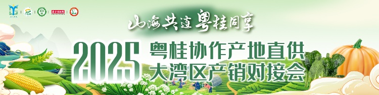 山海共连，粤桂同享。