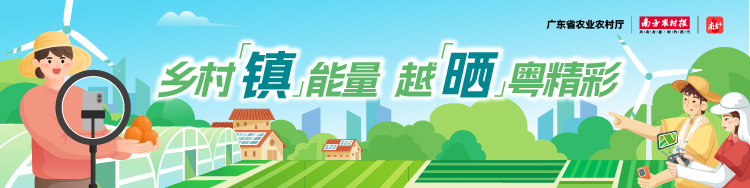 乡村“镇”能量，越“晒”粤精彩！