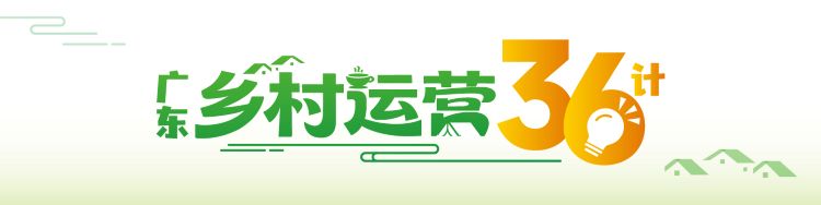 看广东乡村72变>>>